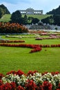 Flowers of Schonbrunn Palace Gardens - Vienna, Austria Royalty Free Stock Photo