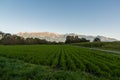 Schaan, Liechtenstein, September 25, 2021 Agriculture field in the alps in the morning time