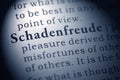 Definition of the word schadenfreude