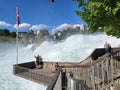 Tourists enjoying moments in scenic Rhine falls.
