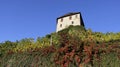 Schatten Castle On The Mountain with Colorful Leaves Royalty Free Stock Photo