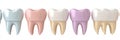 A schematic illustrates a row of healthy teeth with colored implants, featuring a blank space for informative text