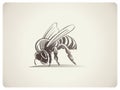 Schematic illustration Bee Royalty Free Stock Photo