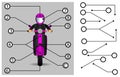 Schematic pointers. Extension lines to indicate the details of the drawings and diagrams. The elements of graphic design