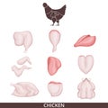 Scheme cutting chicken. Poster for a cafe in retro style. Chicken pieces. Isolated on white background