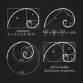 Scheme of golden ratio section, fibonacci spiral on blackboard vector illustration Royalty Free Stock Photo