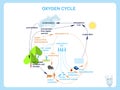 Scheme of the Oxygen cycle