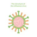 Scheme of the structure of the influenza virus. Medical infographics