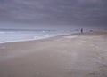 Scheveningen, Februari 18 2019: Scheveningen, The Hague, The Netherlands. Soft colored seaside landscape, view of the