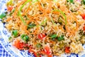 Schezwan Fried rice Royalty Free Stock Photo