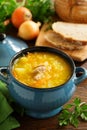 Schi-cabbage soup. Royalty Free Stock Photo