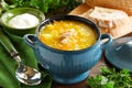 Schi-cabbage soup. Royalty Free Stock Photo