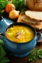 Schi-cabbage soup. Royalty Free Stock Photo