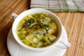 Schi of fresh young cabbage - Russian national dish Royalty Free Stock Photo