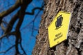 German sign `Naturdenkmal` natural monument on tree trunk with blue sky in background Royalty Free Stock Photo