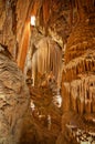 Schindler in a rocky cave - Luray caves