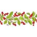 Schisandra branch vector pattern