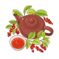 Schisandra tea illustration