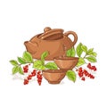 Schisandra tea illustration