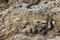 The schist banks of Guadiana river eroded by the wind and water