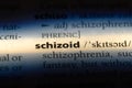schizoid Royalty Free Stock Photo
