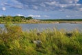 Schlabendorf lake, landscape in Lusatia