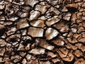 Dry and cracked mud, after a long drought Royalty Free Stock Photo