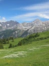 Schlauchhorn and green meadow Royalty Free Stock Photo