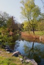 Schlierach river at springtime, reflecting tree in the water, tranquil scenery