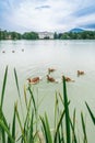 Schloss Leopoldskron palace in Salzburg, Austria