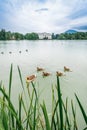 Schloss Leopoldskron palace in Salzburg, Austria