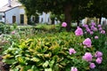 Wild Cottage garden in Schlosshof Austria professionally planted with groups of perennials