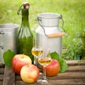 Schnapps and apples Royalty Free Stock Photo