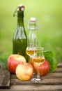 Schnapps and apples Royalty Free Stock Photo