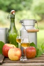 Schnapps and apples Royalty Free Stock Photo