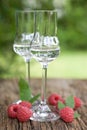 Schnapps, raspberries