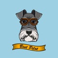 Schnauzer Dog pilot. Aviators glasses. Best pilot lettering. Vector.