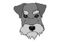 Schnauzer Dog Portrait. Dog breed hand drawn doodle vector illustration