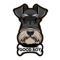 Schnauzer Dog Portrait. Dogs bone. Good boy inscription. Schnauzer breed. Vector.