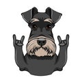 Schnauzer Dog Portrait. Horns, Rock gesture. Schnauzer breed. Vector. Royalty Free Stock Photo