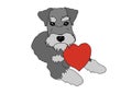 Schnauzer Dog Portrait. Dog with red heart. Dog breed hand drawn doodle vector illustration. Royalty Free Stock Photo