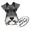 Schnauzer Dog Portrait. Who is good boy lettering. Dog breed. Schnauzer head, face, muzzle. Vector.