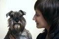 Schnauzer and its owner Royalty Free Stock Photo