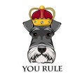 Schnauzer king. Crown. Dog queen. Schnauzer portrait. You rule lettering. Vector. Royalty Free Stock Photo