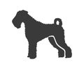 Schnauzer silhouette. Zwergschnauzer hunting run dog in nature, vector icon Royalty Free Stock Photo
