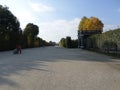 One of the paths at Schnbrunn Palace garden. Vienna, Austria. Royalty Free Stock Photo