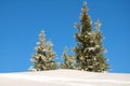 Schneeberg, Austria, Winter scene Royalty Free Stock Photo