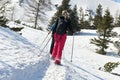 Snowshoe hikers on Mountain Feuerkogel in the Salzkammergut Gmunden District, Upper Austria, Austria