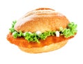 Schnitzel or escalope bun with clipping path