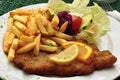 Schnitzel with french fries Royalty Free Stock Photo